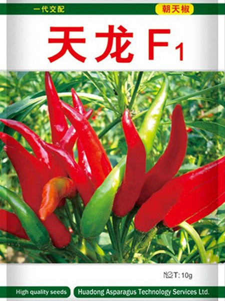 天龙f1（朝天椒）