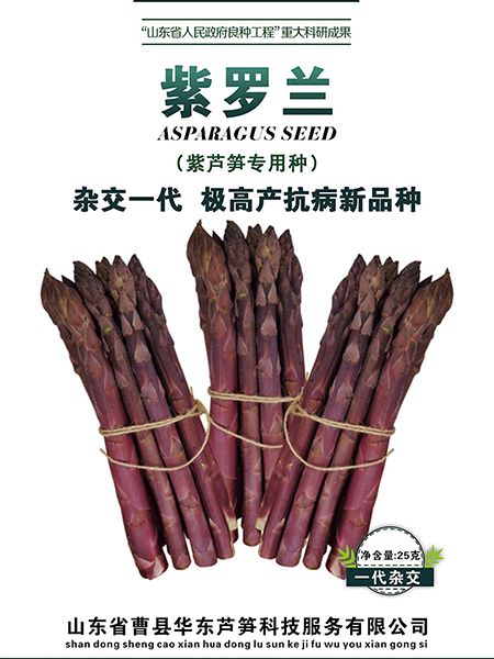 芦笋早春育苗