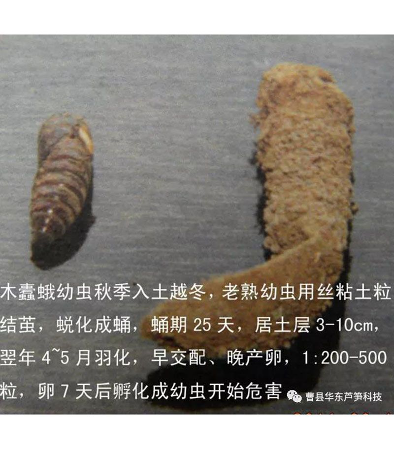 微信图片_20210202084406.jpg