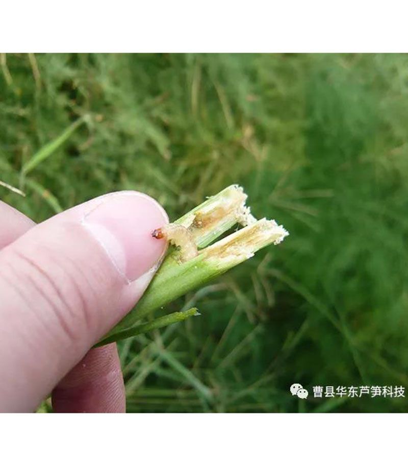微信图片_20210202084420.jpg