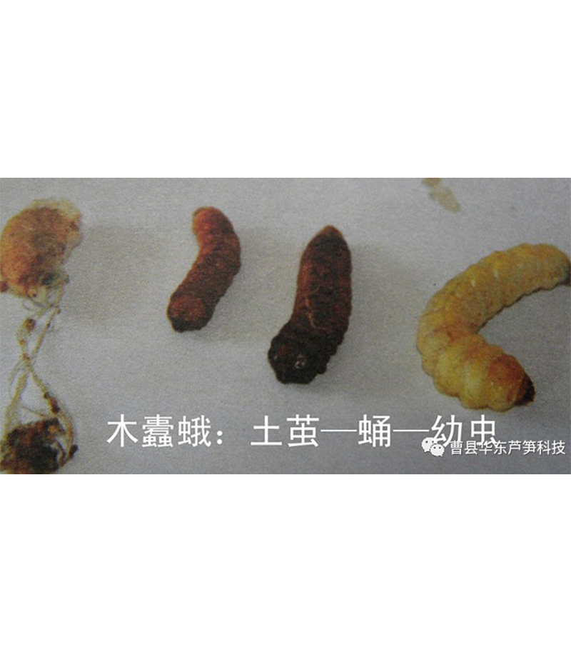 微信图片_20210202084424.png
