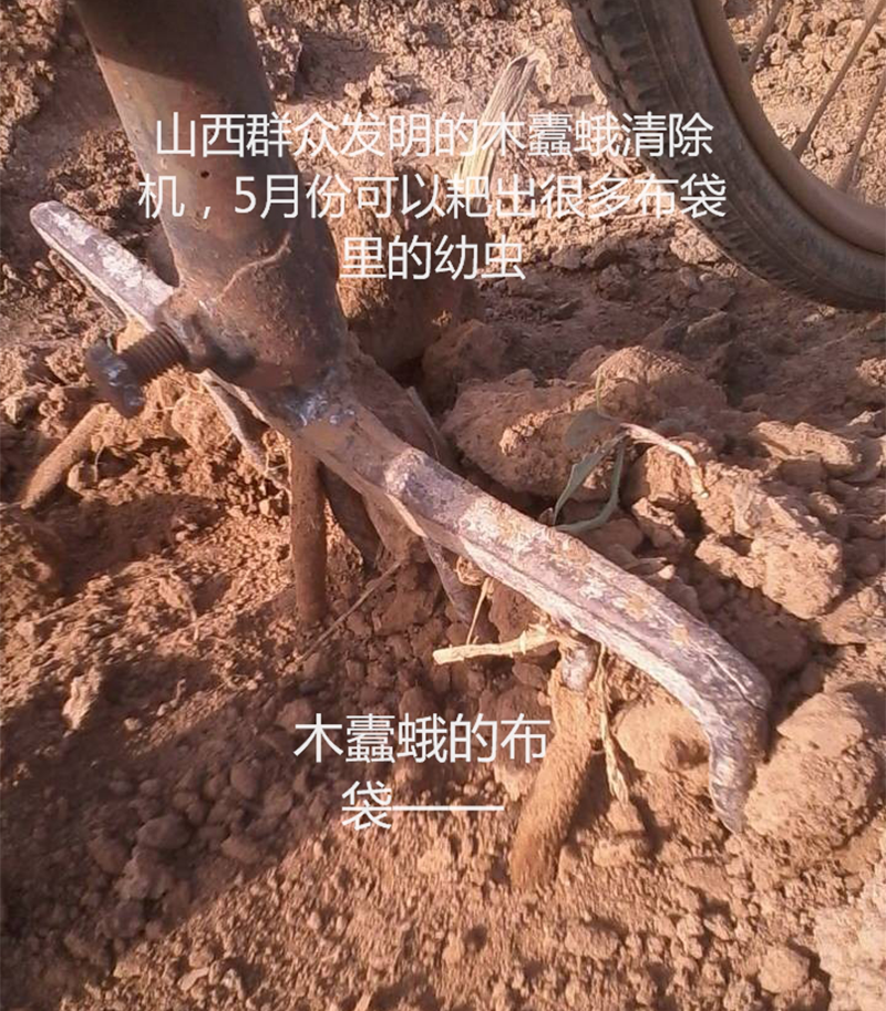 微信图片_20210202084429.png