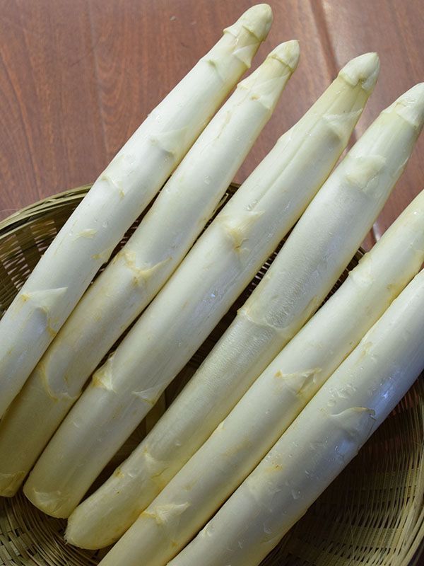 芦笋在家如何种植？有什么方法