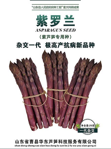 笋种子怎么挑选