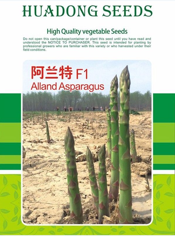 芦笋怎么种植才能多出笋